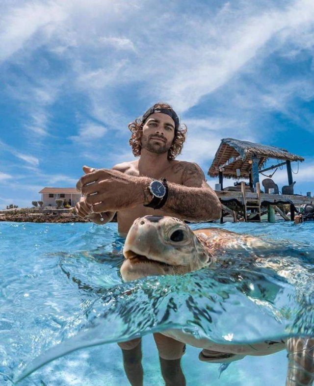 No Words Needed For These Pictures (56 pics)