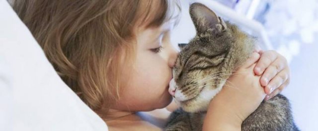 No Words Needed For These Pictures (56 pics)