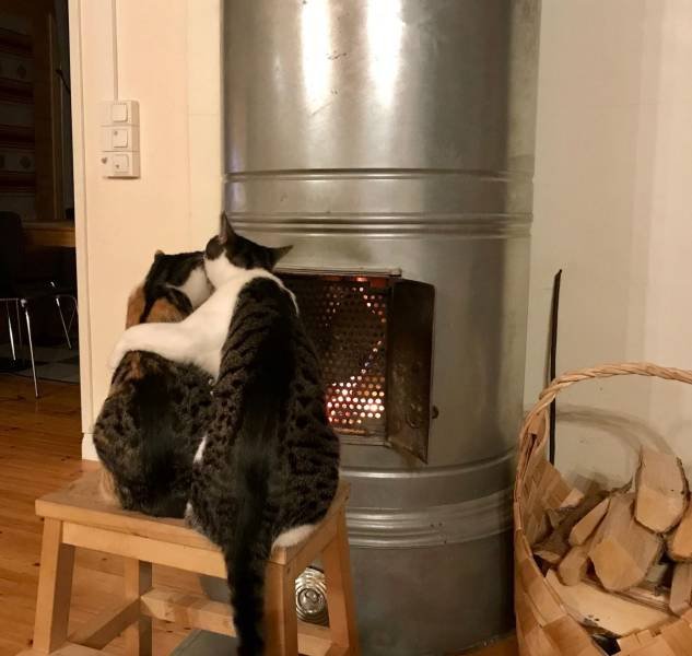 No Words Needed For These Pictures (56 pics)