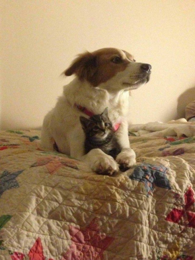 No Words Needed For These Pictures (56 pics)