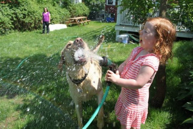 No Words Needed For These Pictures (56 pics)
