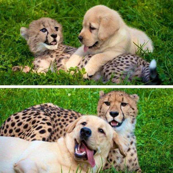 No Words Needed For These Pictures (56 pics)
