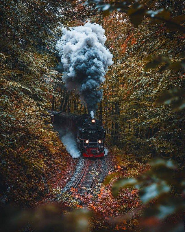 No Words Needed For These Pictures (56 pics)