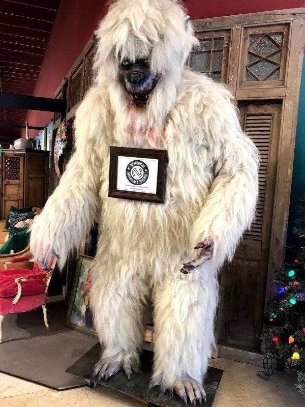 Thrift Shops Treasures (63 pics)