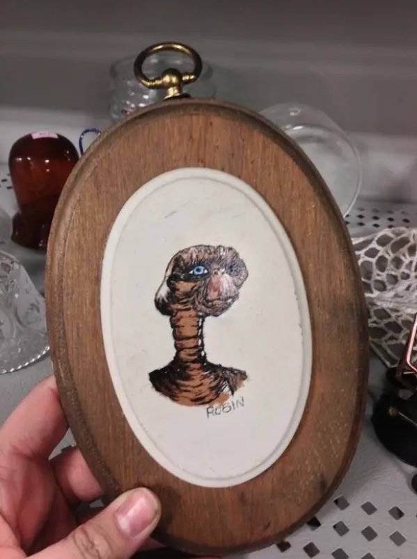 Thrift Shops Treasures (63 pics)