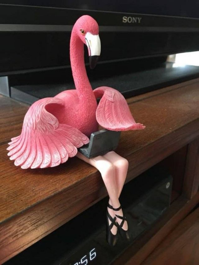 Thrift Shops Treasures (63 pics)