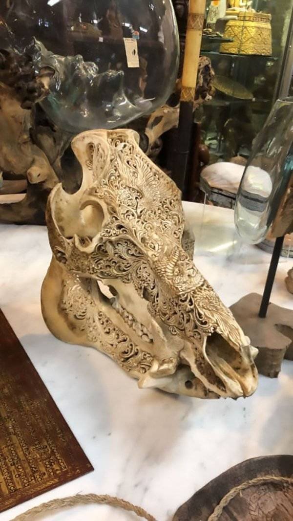 Thrift Shops Treasures (63 pics)