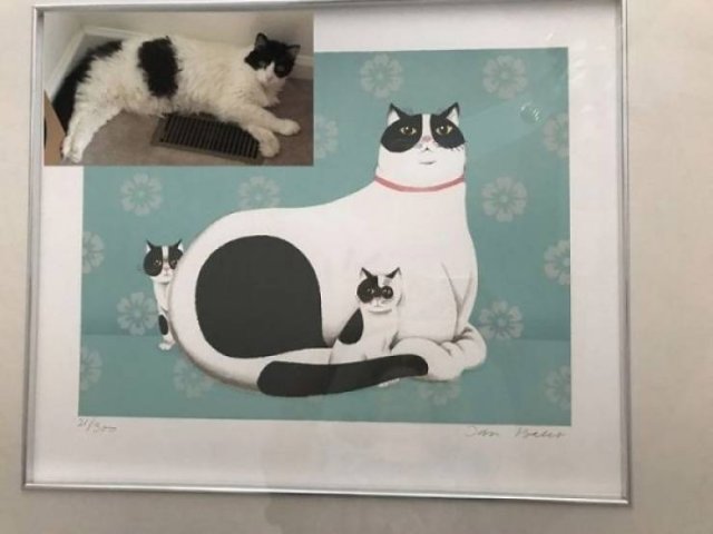 Thrift Shops Treasures (63 pics)