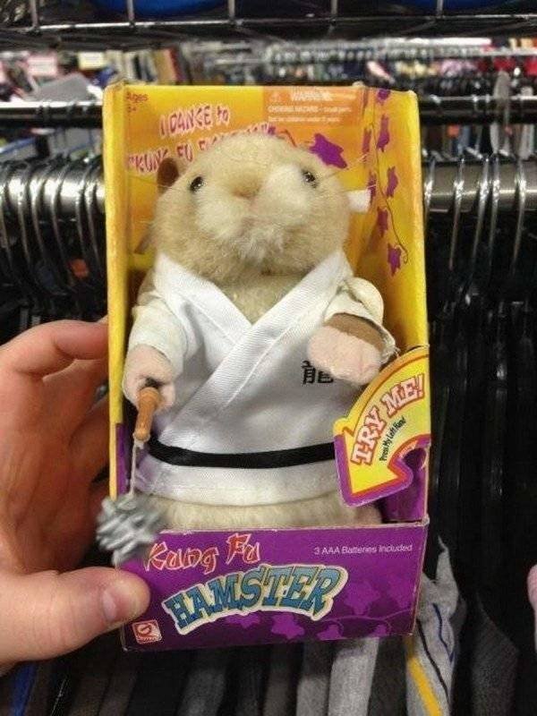 Thrift Shops Treasures (63 pics)