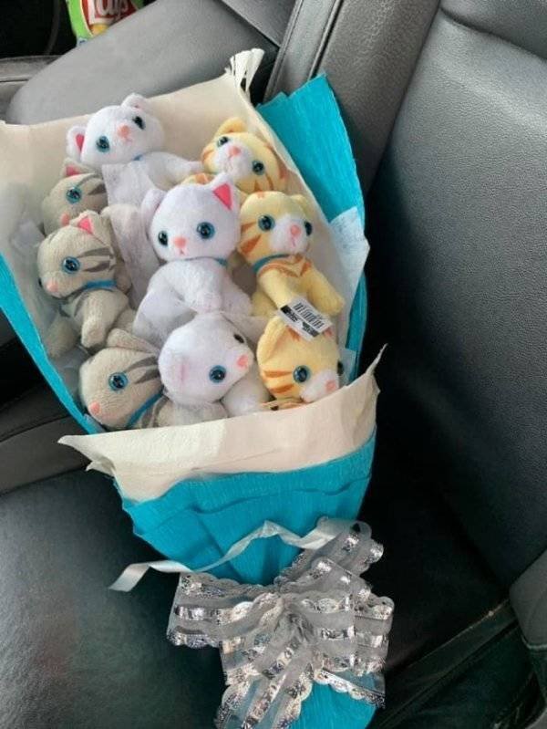 Thrift Shops Treasures (63 pics)