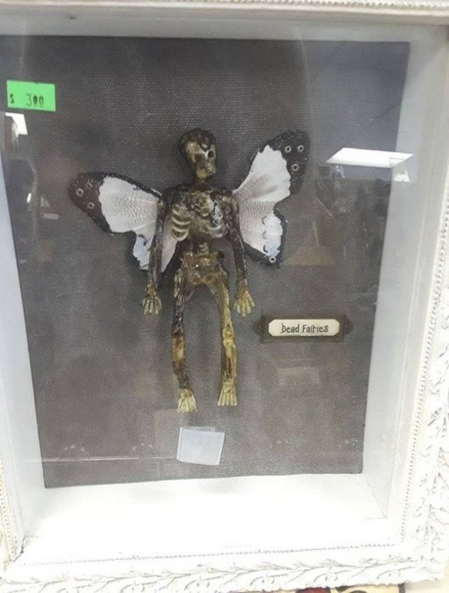 Thrift Shops Treasures (63 pics)