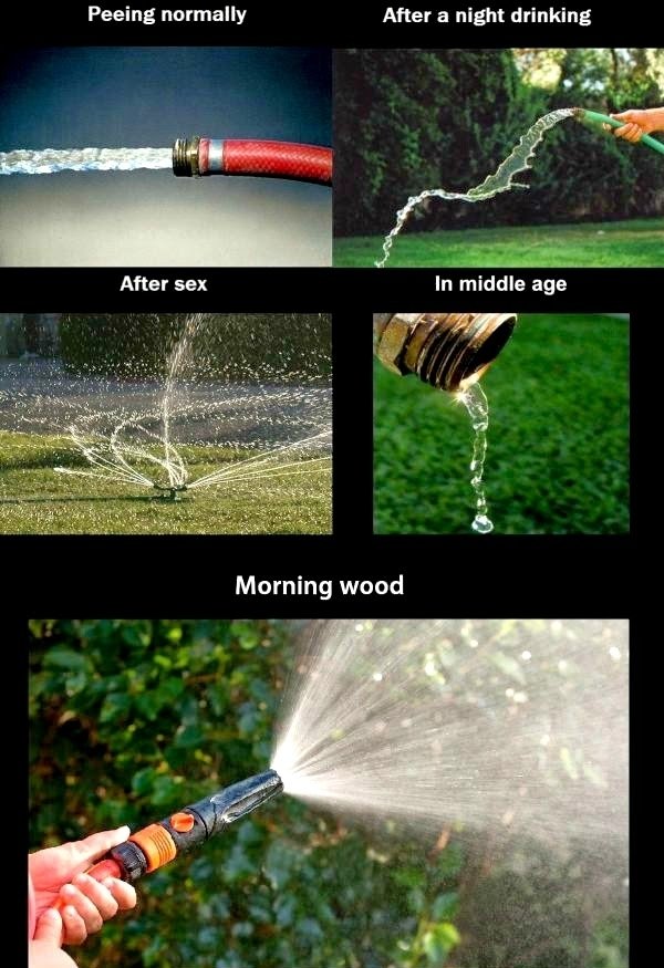 Men Memes (31 pics)