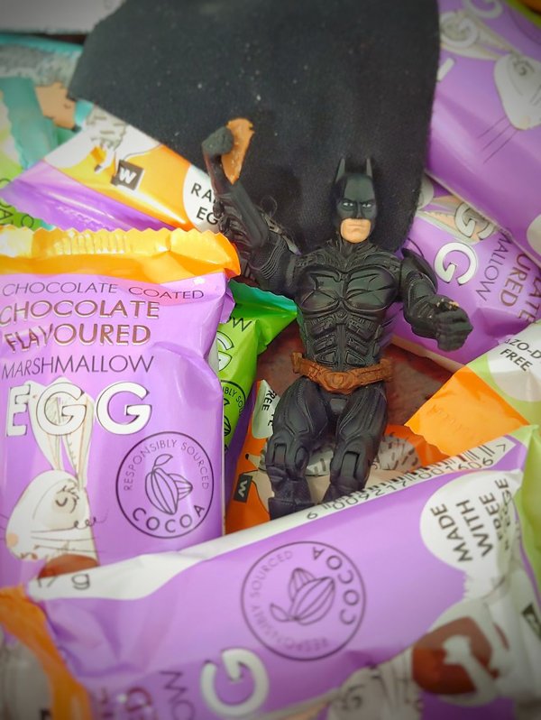 Batman's Adventures (33 pics)