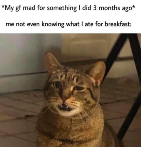 Men Memes (31 pics)