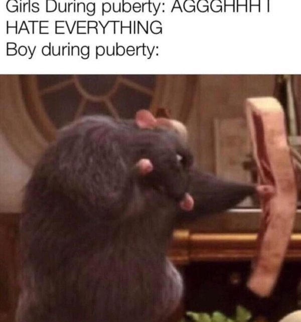 Men Memes (31 pics)