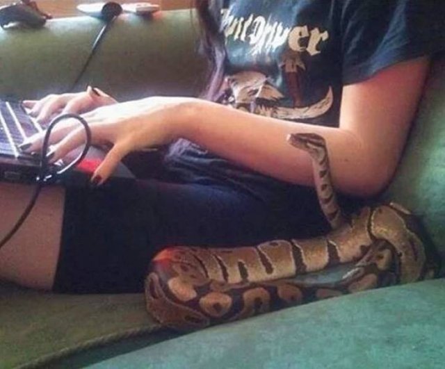 Acid Picdump. Part 1 (95 pics)