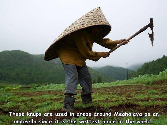 Acid Picdump. Part 1 (95 pics)