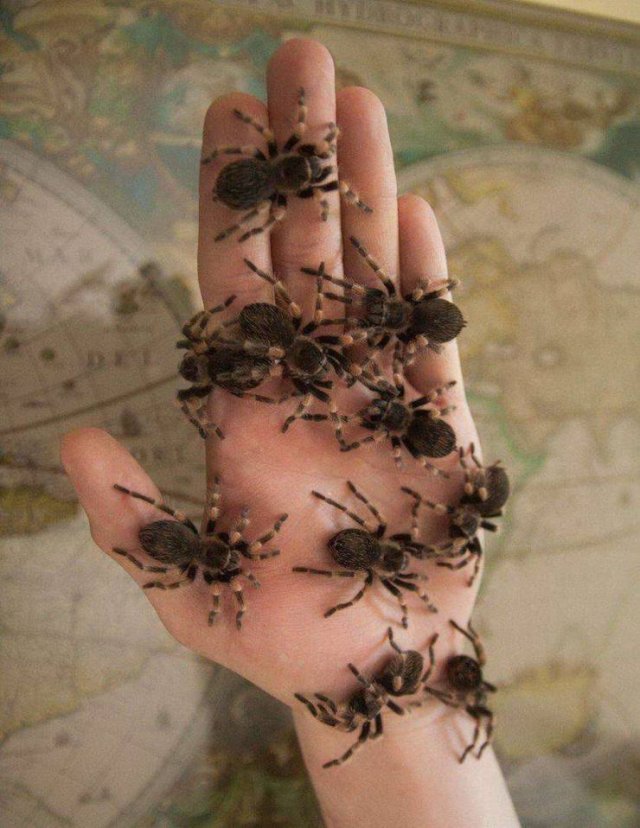 Acid Picdump. Part 1 (95 pics)