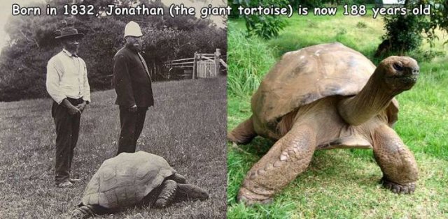 Acid Picdump. Part 1 (95 pics)