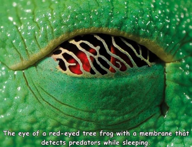 Acid Picdump. Part 1 (95 pics)