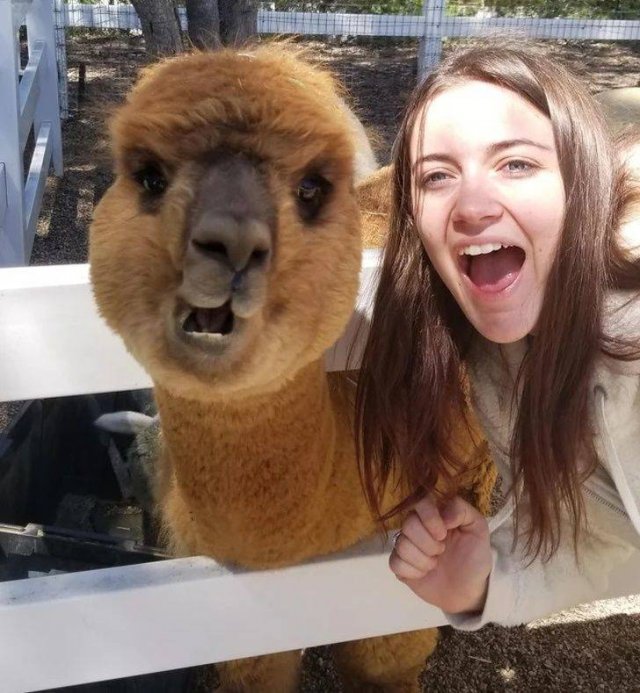 Acid Picdump. Part 1 (95 pics)