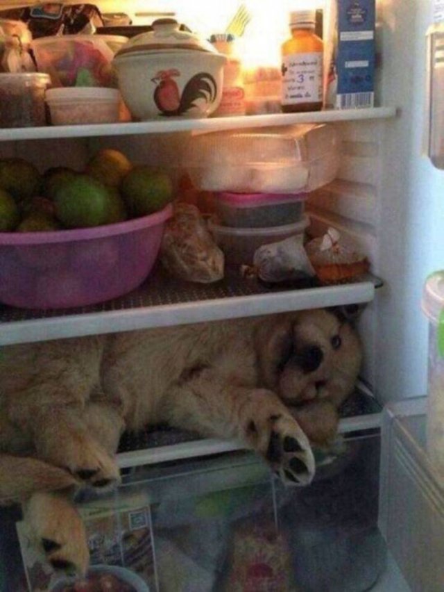 Acid Picdump. Part 1 (95 pics)