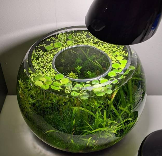 Smart Solutions And Great DIY Things (26 pics) Smart Solutions And Great DIY Things (26 pics)