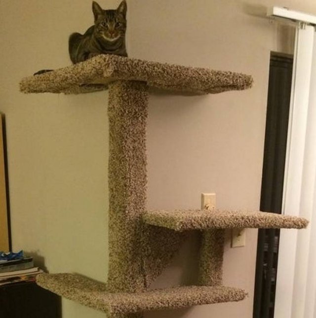 Smart Solutions And Great DIY Things (26 pics) Smart Solutions And Great DIY Things (26 pics)