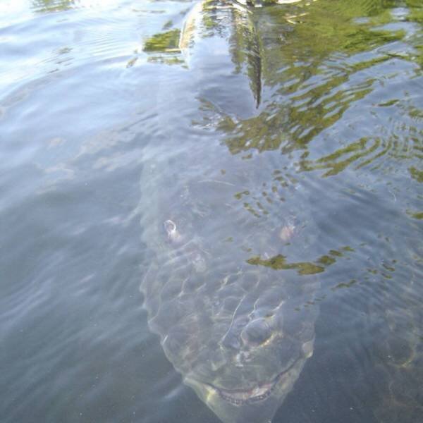 This Is Thalassophobia (29 pics) This Is Thalassophobia (29 pics)