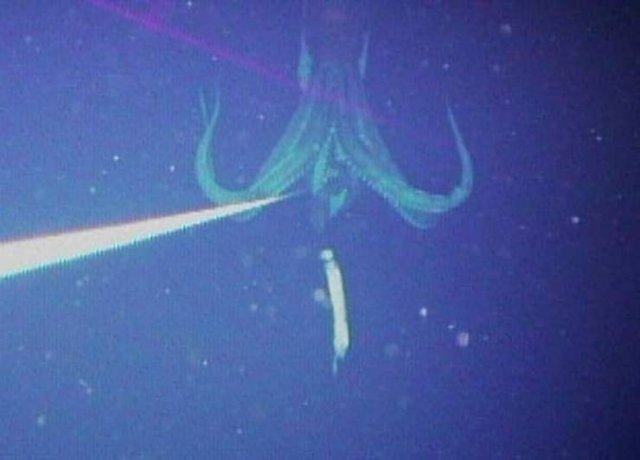 This Is Thalassophobia (29 pics) This Is Thalassophobia (29 pics)
