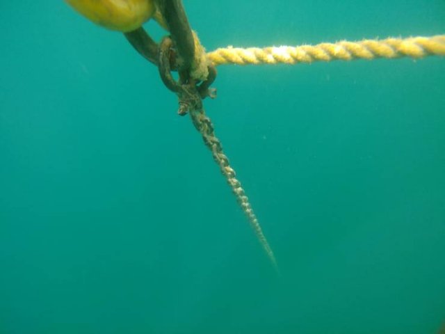 This Is Thalassophobia (29 pics) This Is Thalassophobia (29 pics)