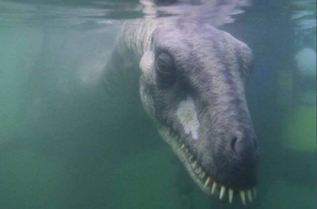 This Is Thalassophobia (29 pics) This Is Thalassophobia (29 pics)
