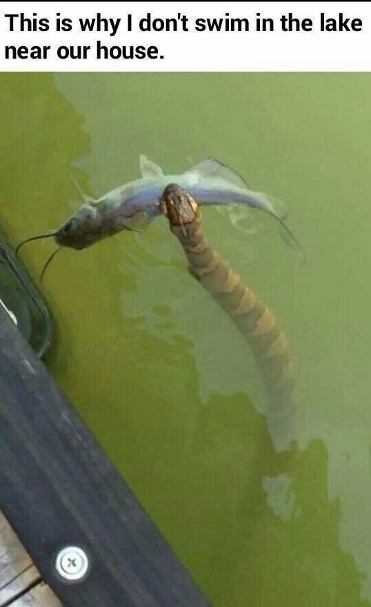 This Is Thalassophobia (29 pics) This Is Thalassophobia (29 pics)