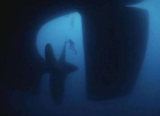 This Is Thalassophobia (29 pics) This Is Thalassophobia (29 pics)