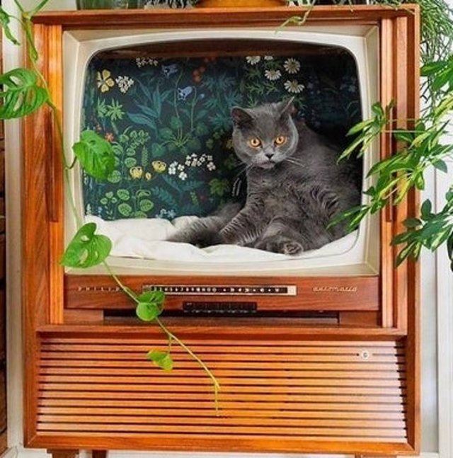 Smart Solutions And Great DIY Things (26 pics) Smart Solutions And Great DIY Things (26 pics)
