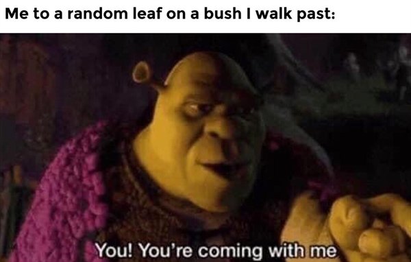 Hilarious Memes (24 pics)