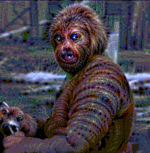 Surreal GIFs (18 gifs)