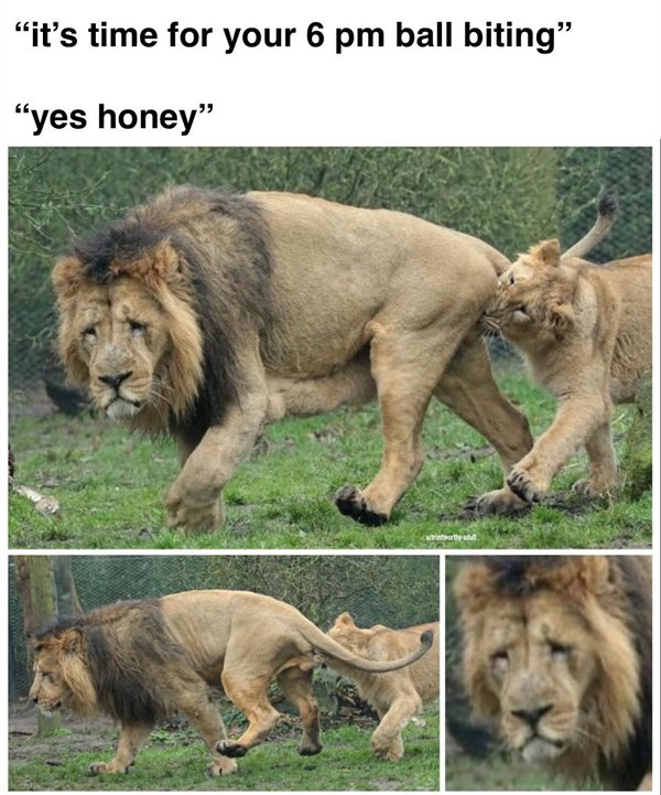 Hilarious Memes (24 pics)