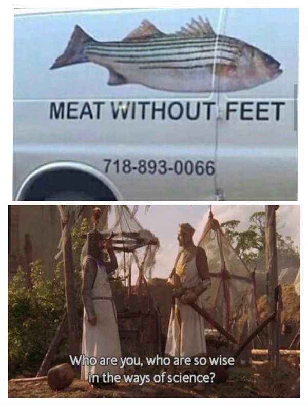 Hilarious Memes (24 pics)