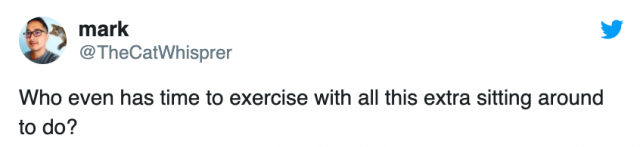 Quarantine Fitness (31 pics)