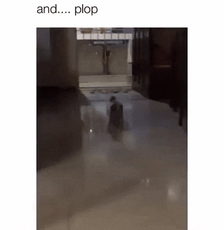 Acid Gifdump, May 18 (25 gifs)