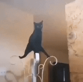 Acid Gifdump, May 18 (25 gifs)