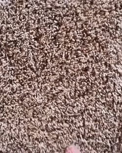 Acid Gifdump, May 18 (25 gifs)