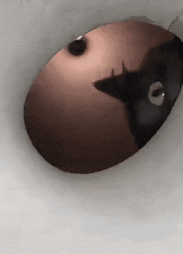 Acid Gifdump, May 18 (25 gifs)