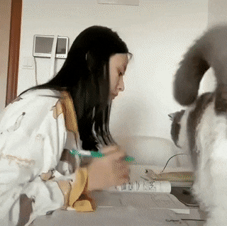 Acid Gifdump, May 18 (25 gifs)