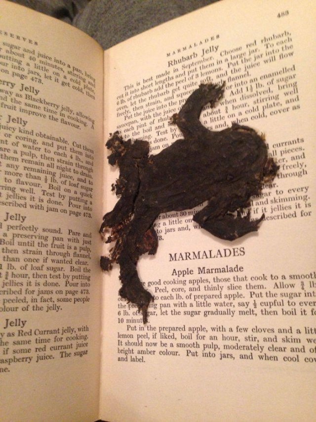 Book Lovers Struggles (40 pics)