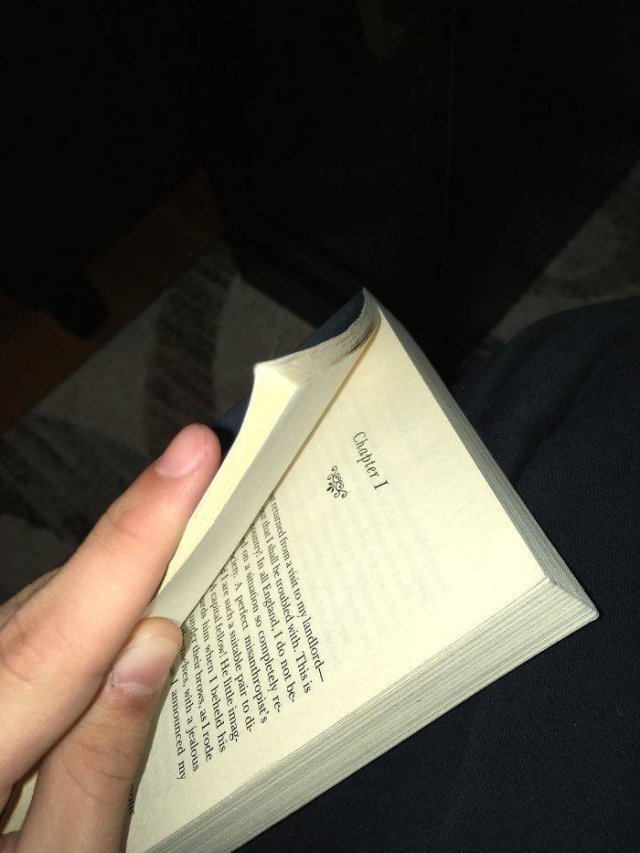 Book Lovers Struggles (40 pics)