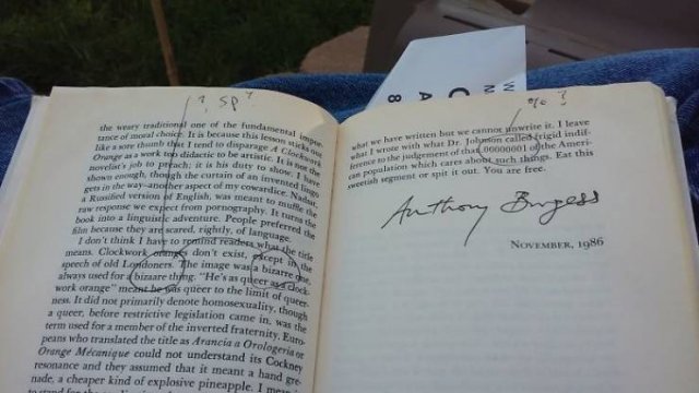 Book Lovers Struggles (40 pics)