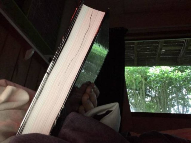 Book Lovers Struggles (40 pics)