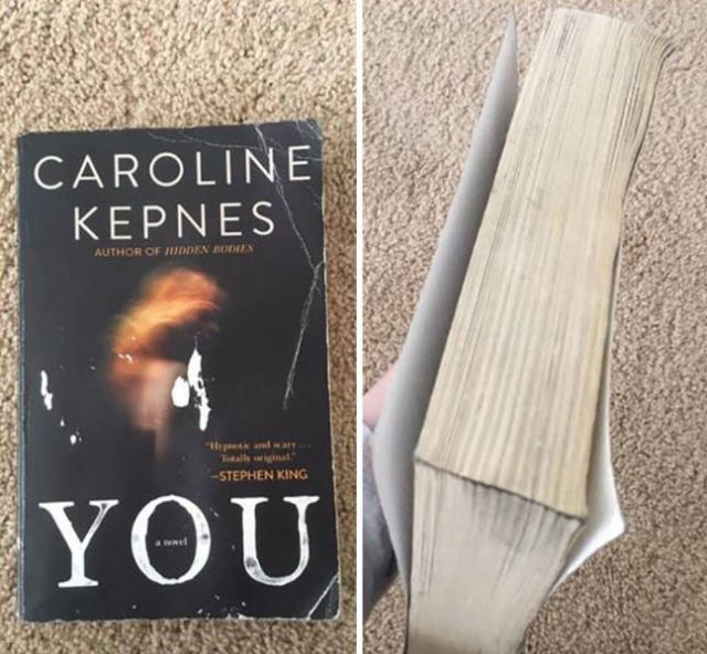 Book Lovers Struggles (40 pics)